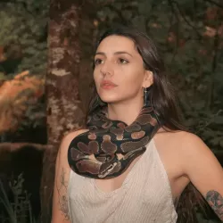 Photo de Acidistortion