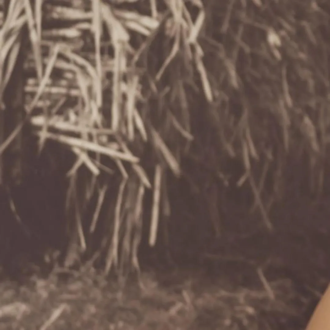 Photo de Alizee - MYM