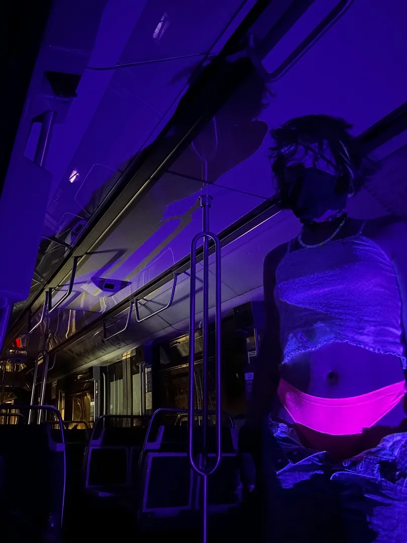 Photo de Araneae - MYM