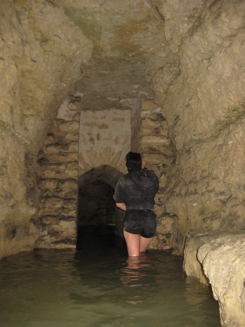 Photo de Araneae - MYM