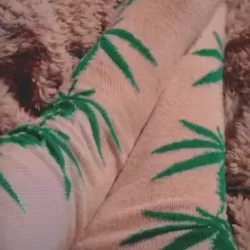 Ariaaaa nude — vidéo porn leak MYM