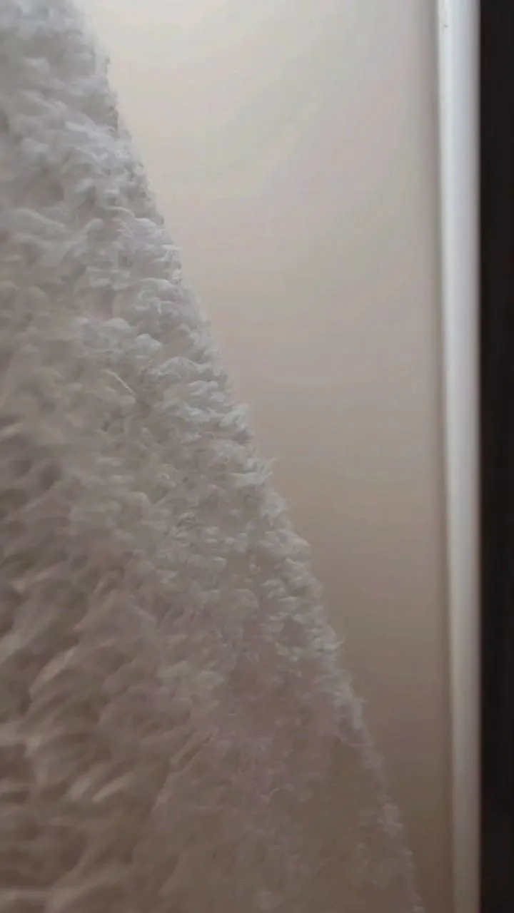 Photo de Babybrune - MYM