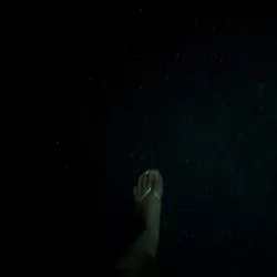 Vidéo similaire de Badgyalchampers