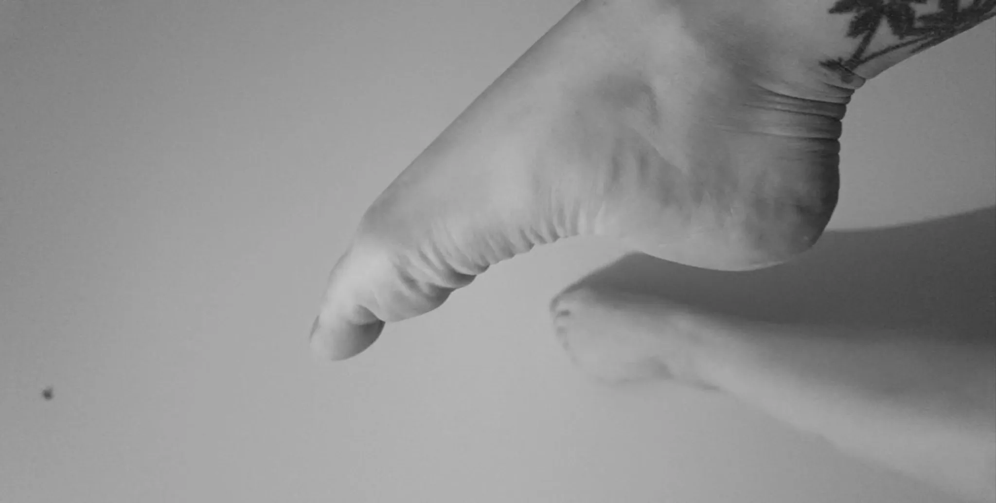 Bannière du profil de Beleza