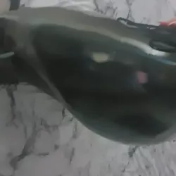Vidéo de Bella_donna_