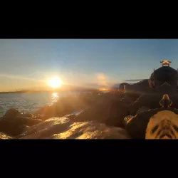 Vidéo de Bellissimalove