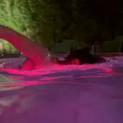 Brexit nude — vidéo porn leak MYM
