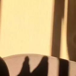 Chaarnelle nude — vidéo porn leak MYM