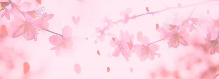 Bannière du profil de Chacha_76