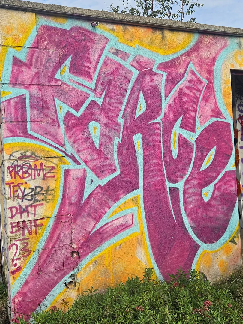 Photo de Chauchatchau - MYM