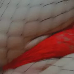 Claraxoxo nude — vidéo porn leak MYM