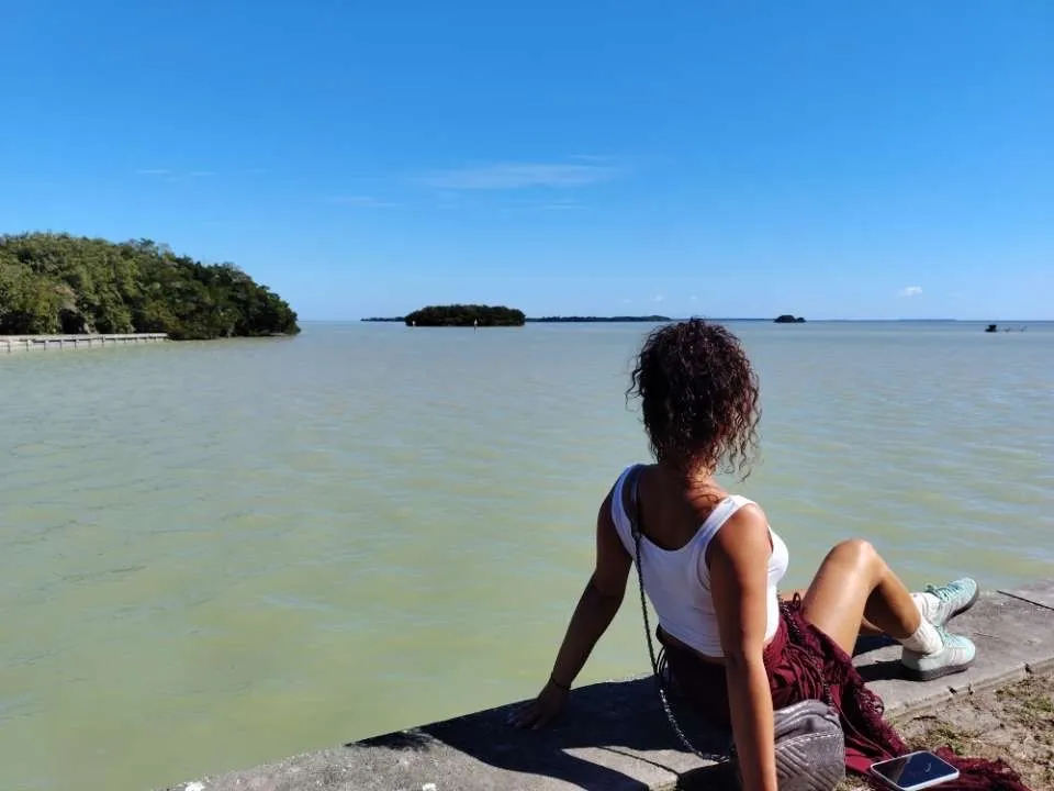 Photo de Donuts - MYM