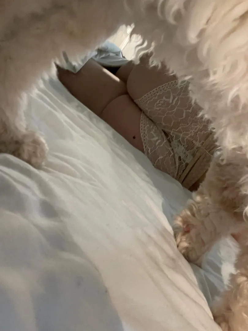 Photo de Fannybeladona - MYM