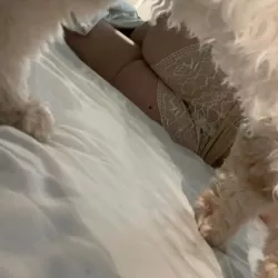 Photo de Fannybeladona