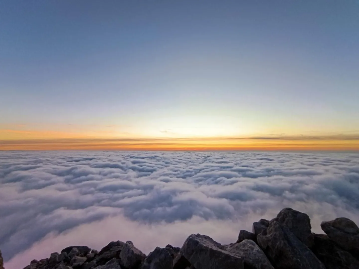 Photo de Fleur_de_rose - MYM