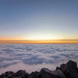 Photo de Fleur_de_rose