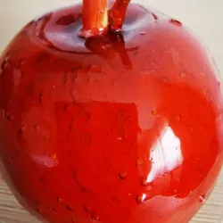 Photo de Fleur_de_rose