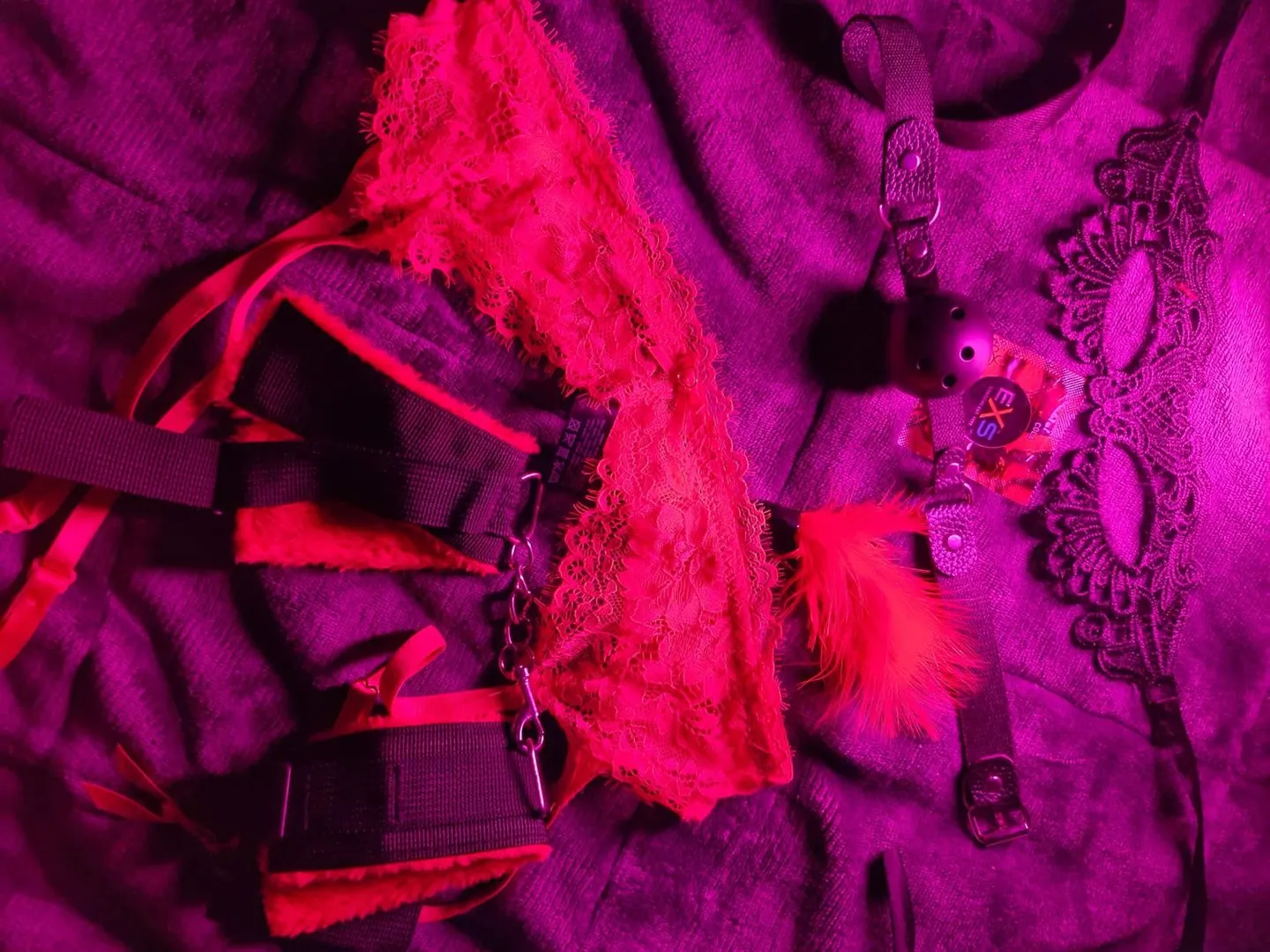 Photo de Foxie - MYM