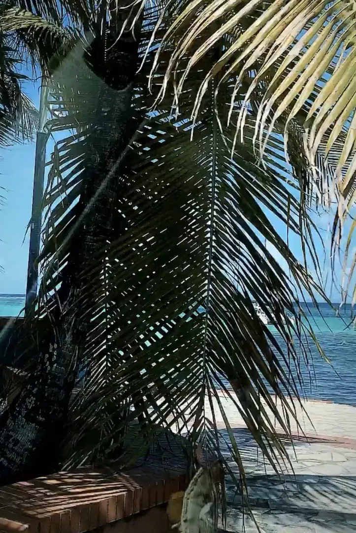 Photo de Girlnextdoor971 - MYM