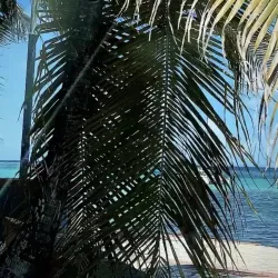 Photo de Girlnextdoor971