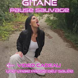 Photo de Gitane