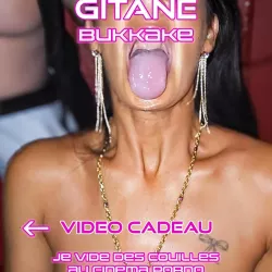 Photo de Gitane