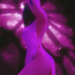 Photo de Harder_and_harder