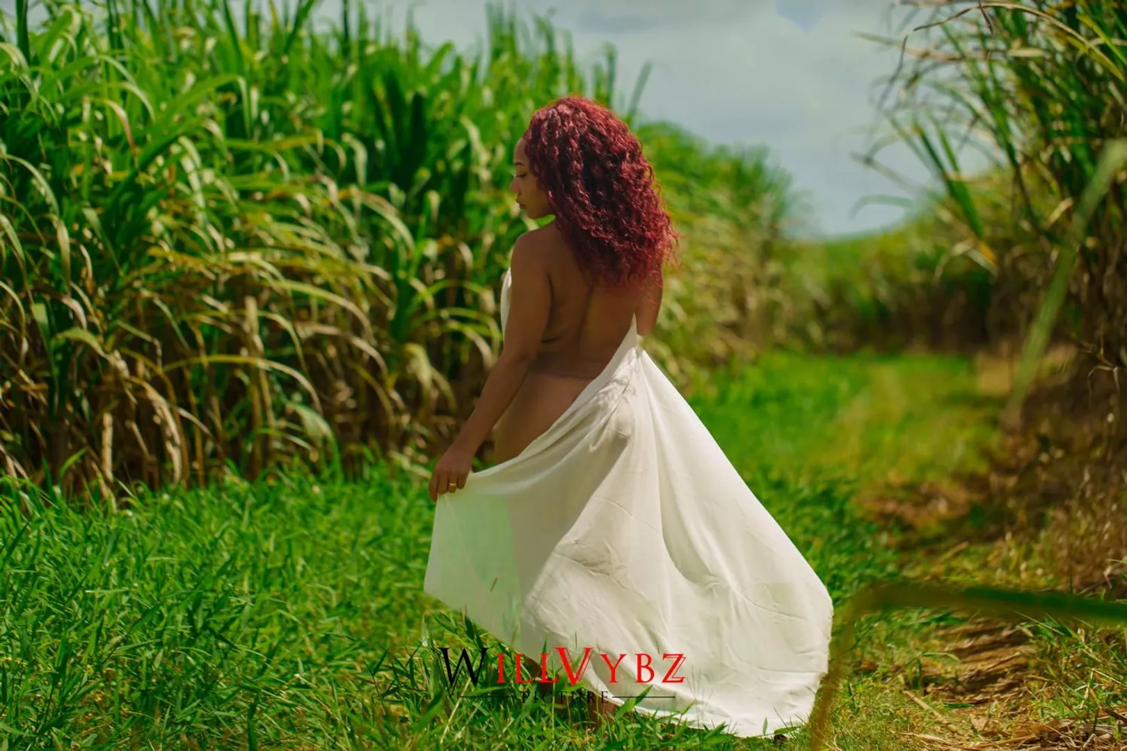 Bannière du profil de Hibiscus27