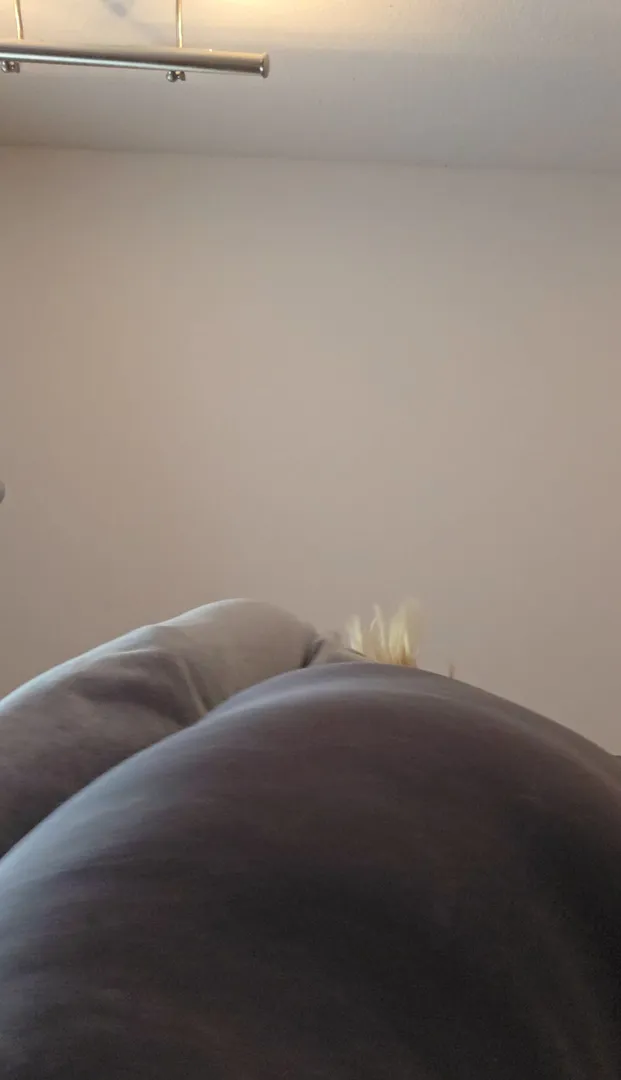 Photo de Its_me_melii - MYM