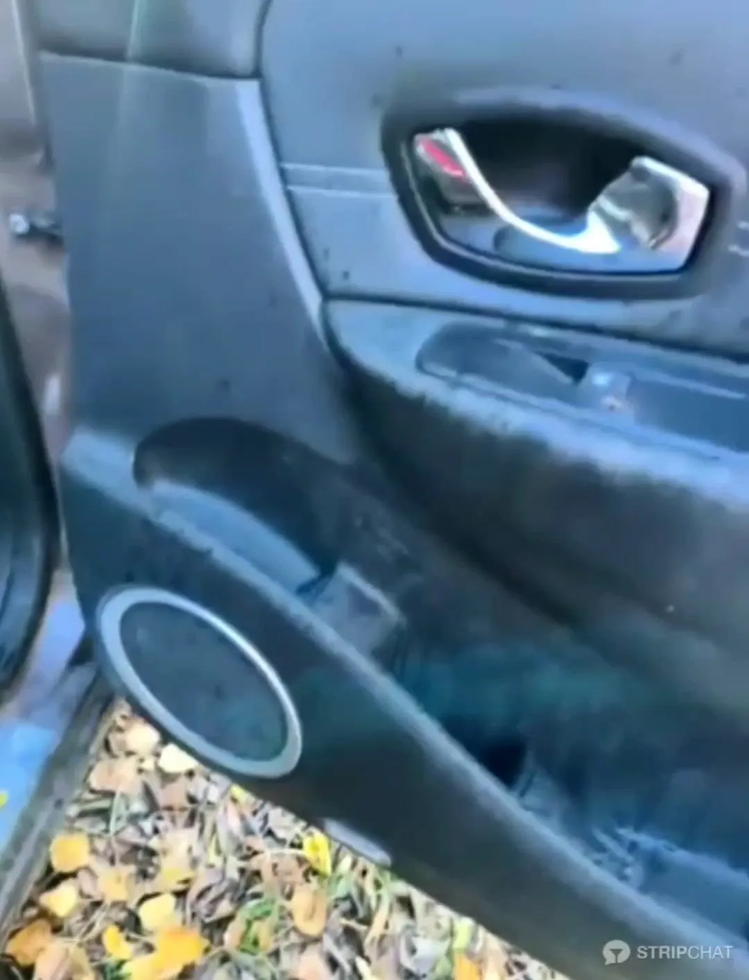 Photo de Jade_emeraud - MYM