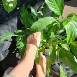 Vidéo de Joliepied842