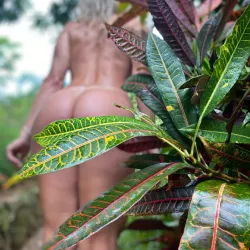 Photo de Katymonica_peach