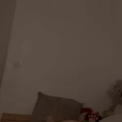 Vidéo similaire de Kim_sexy