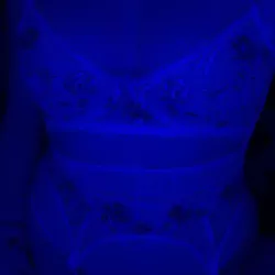 Média similaire de Leliaelegancia