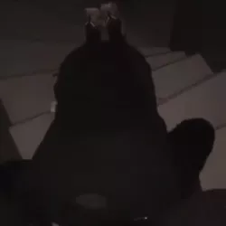 Vidéo de Leynaqueen1