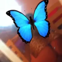 Vidéo de Leynaqueen1