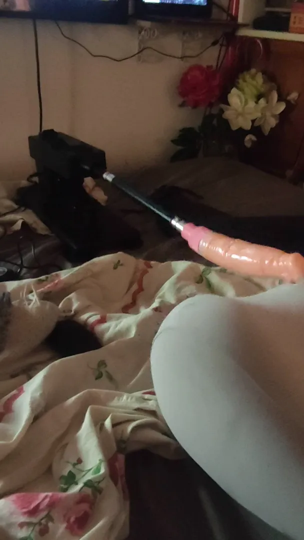 Photo de Lilas - MYM