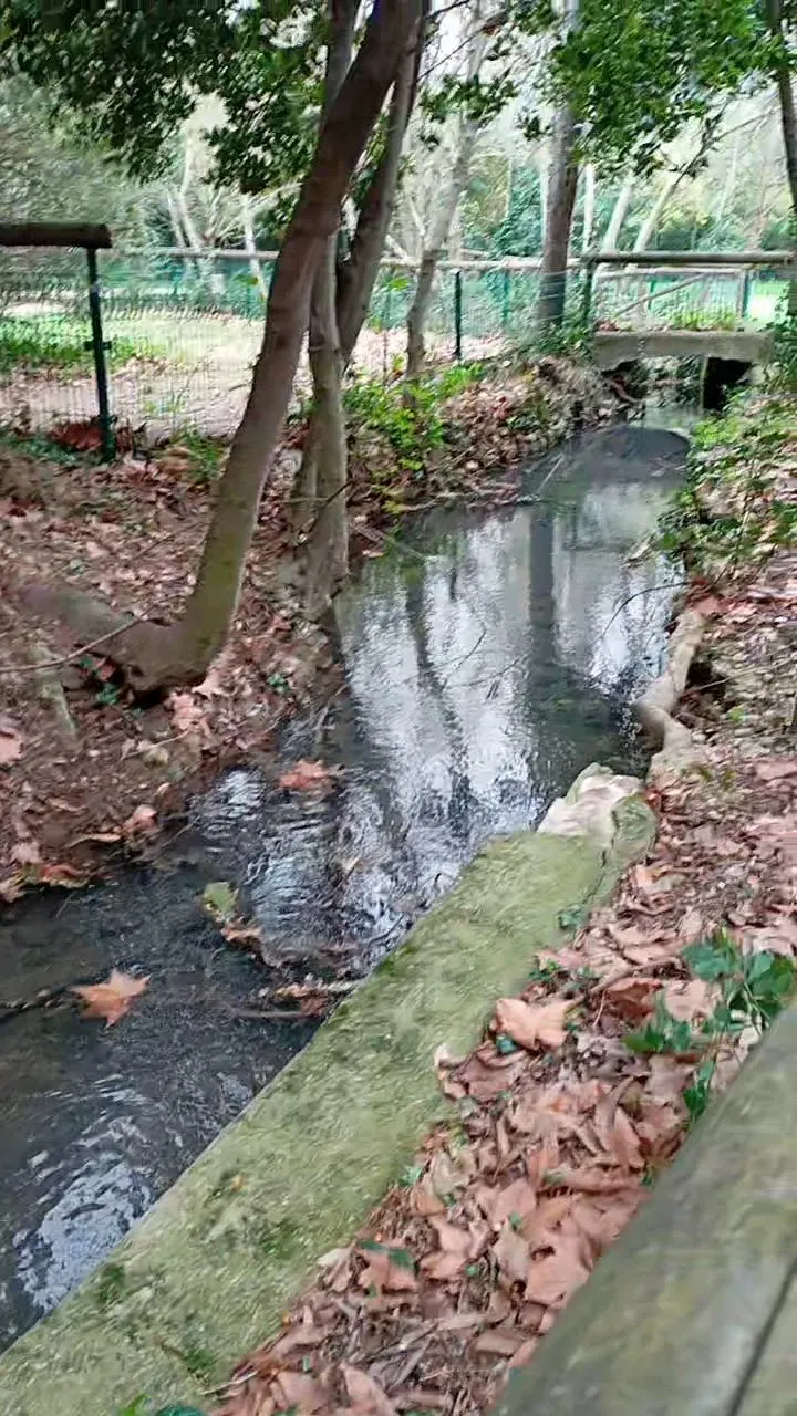 Photo de Lisa-modele - MYM