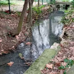 Photo de Lisa-modele