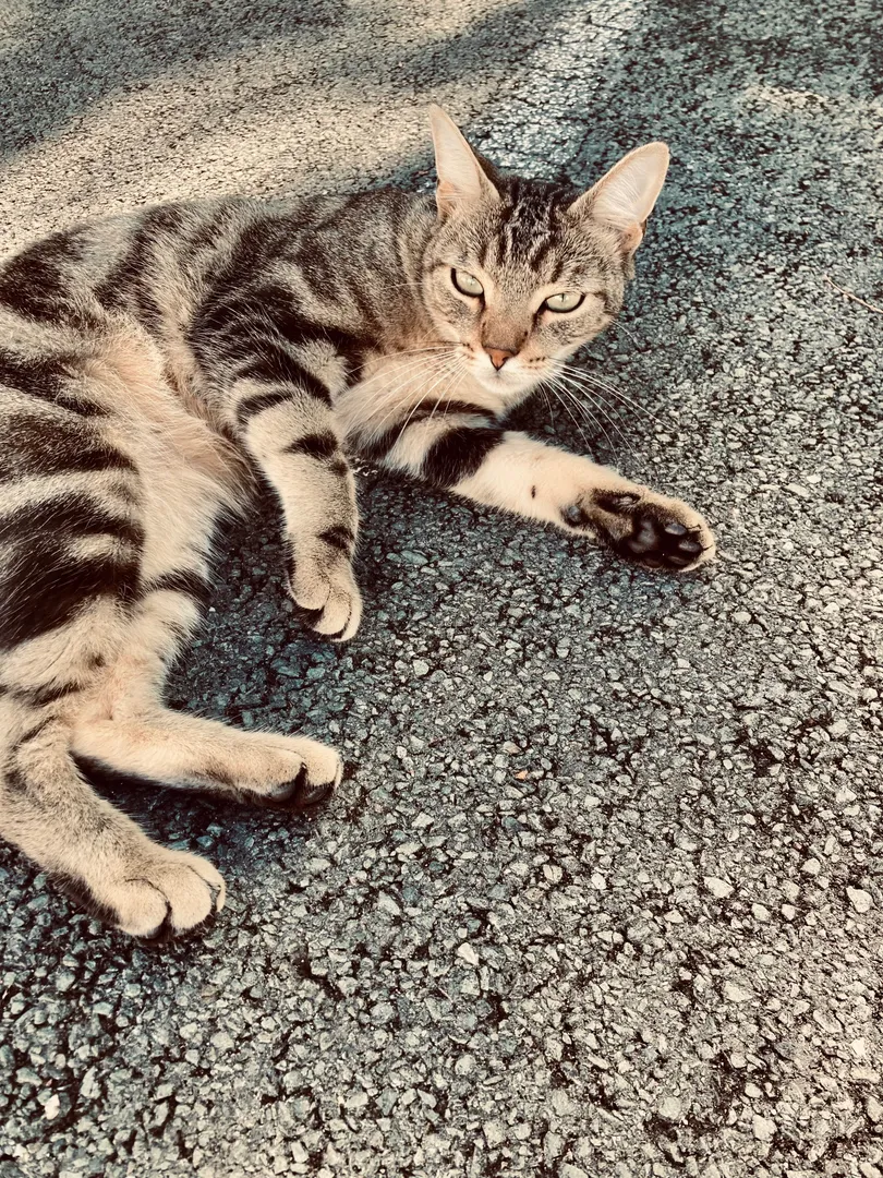 Photo de Lisebitch - MYM