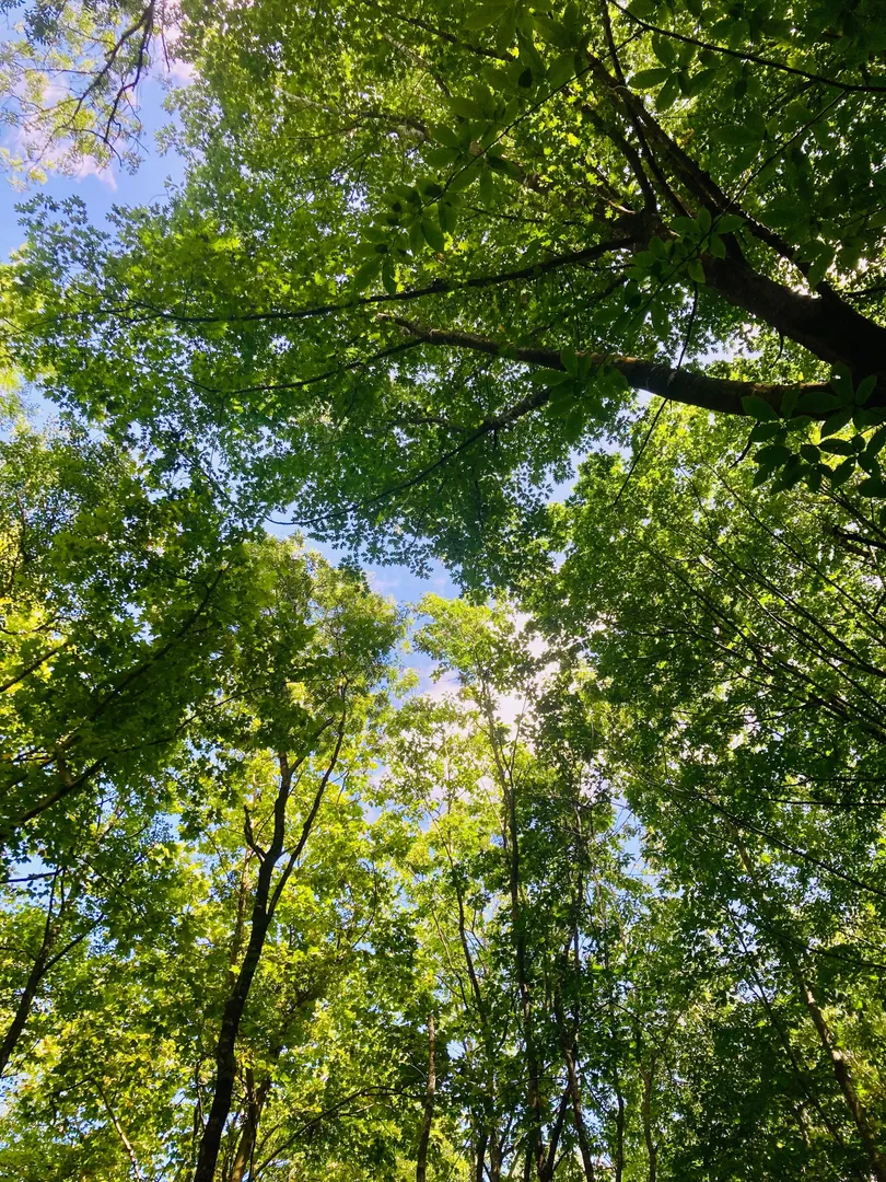 Photo de Lisebitch - MYM