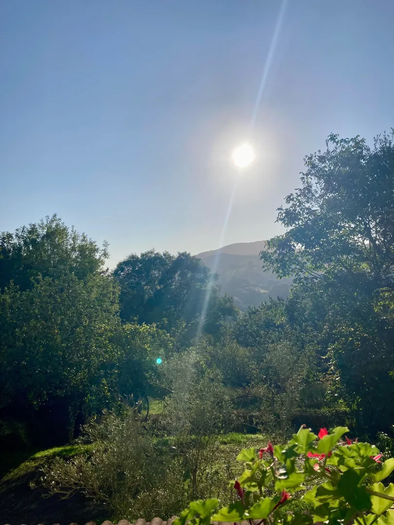 Photo de Lisebitch - MYM