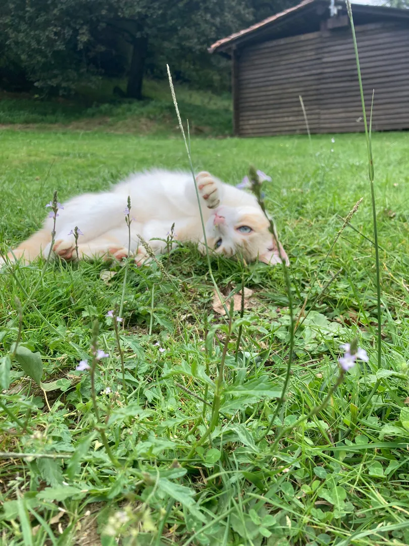 Photo de Lisebitch - MYM