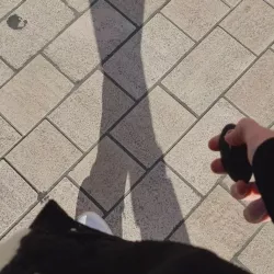 Vidéo similaire de Lizadelsierra
