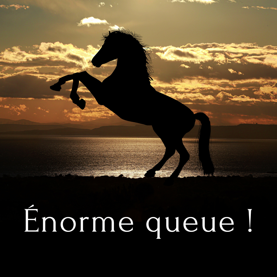 Photo de Lucie_mehot - MYM