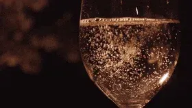 Bannière du profil de Luxur