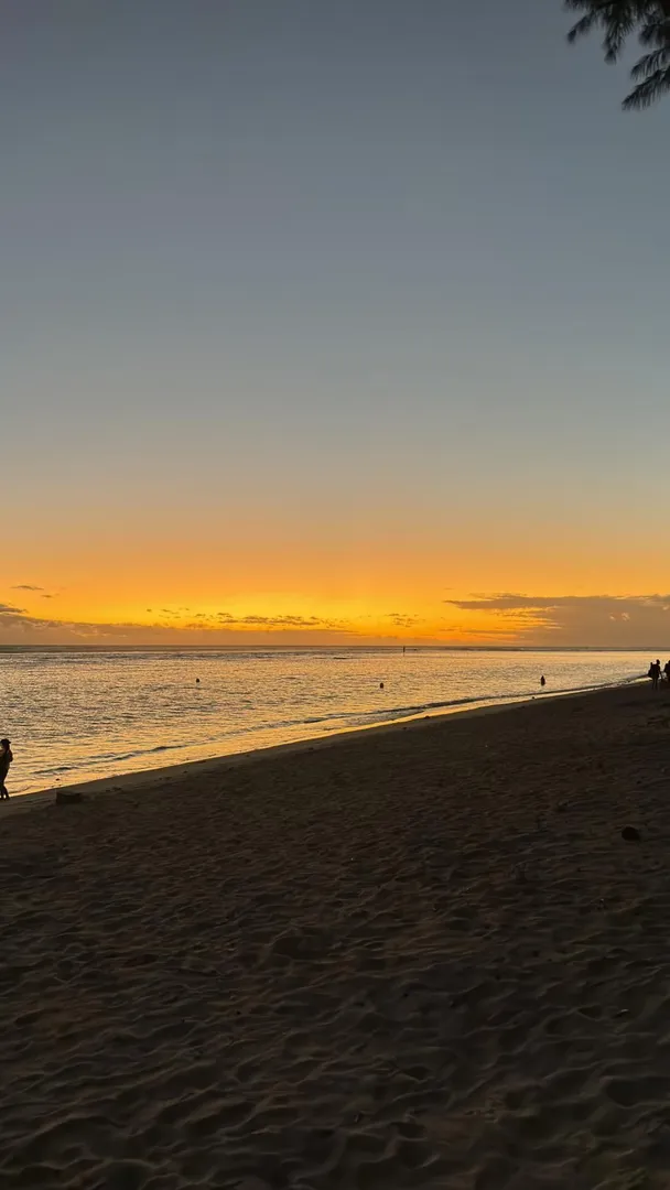 Bannière du profil de Maddiie