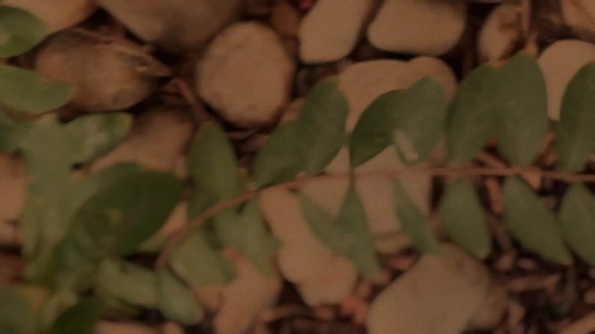 Photo de Marine_rossi - MYM