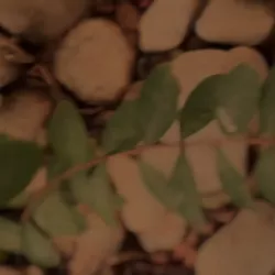 Photo de Marine_rossi