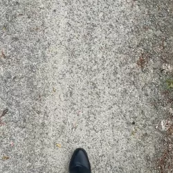 Marinee nude — vidéo porn leak MYM